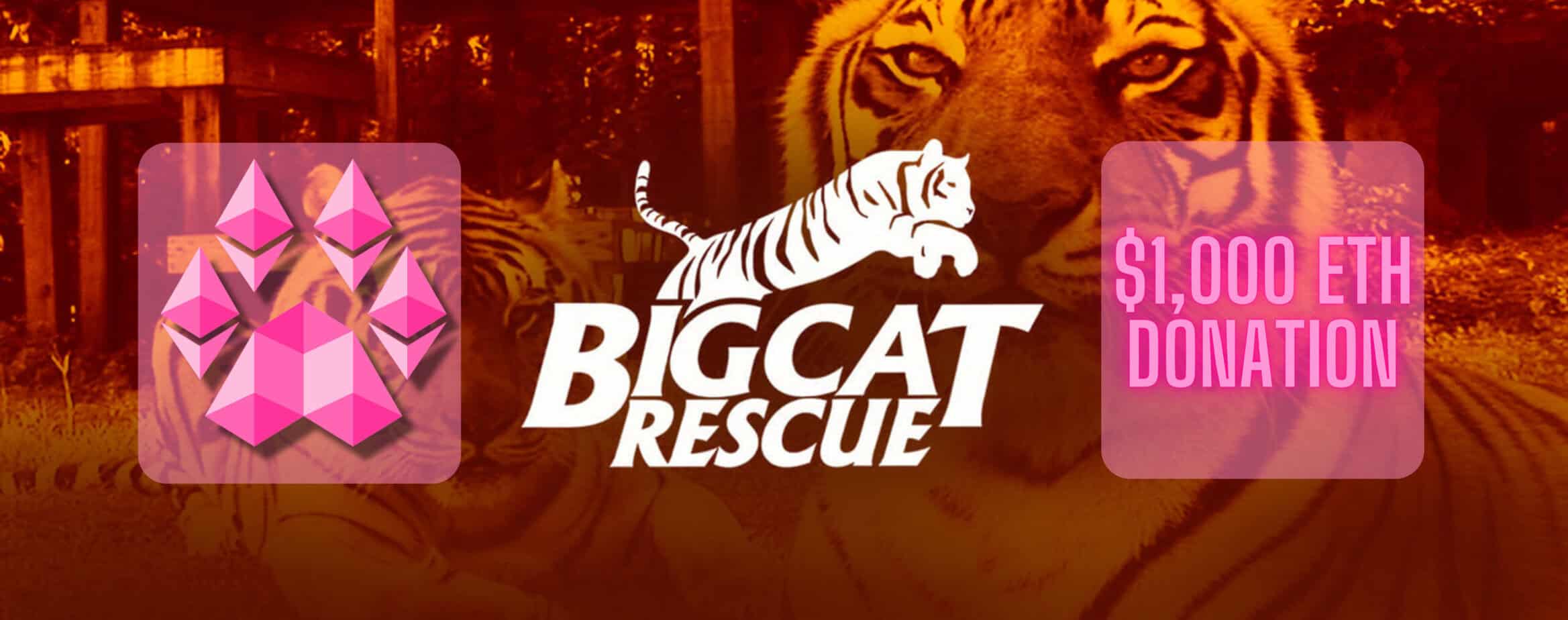 Pawthereums donation to Big Cat Rescue